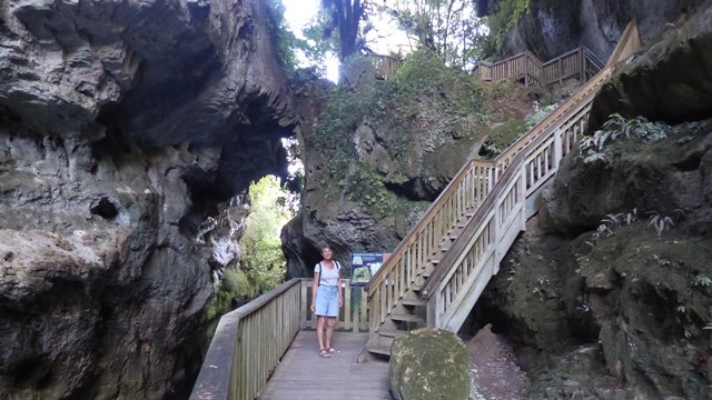 NZ/NZ-1001