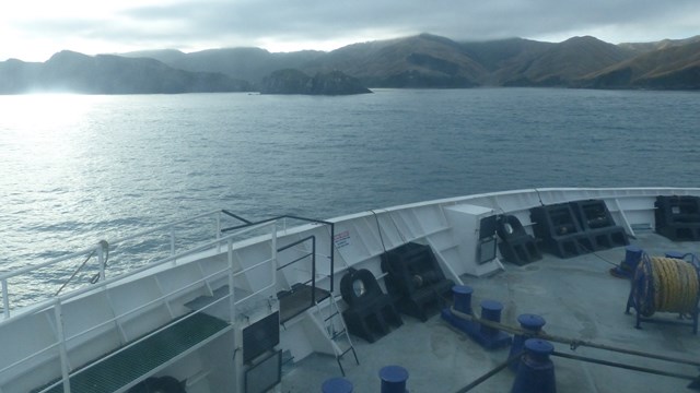 NZ/NZ-1009