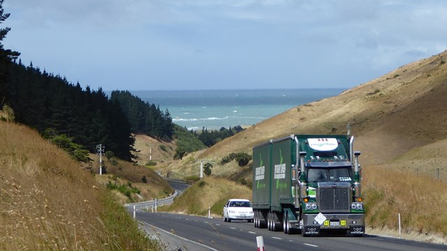NZ/NZ-1010