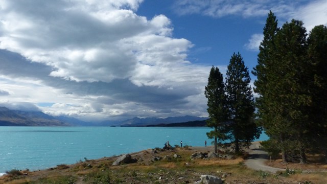NZ/NZ-1014