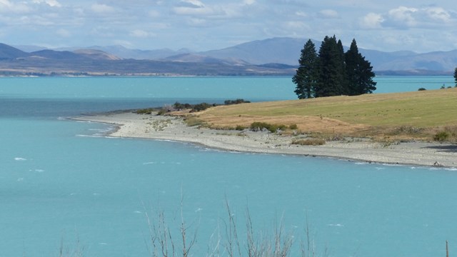 NZ/NZ-1021