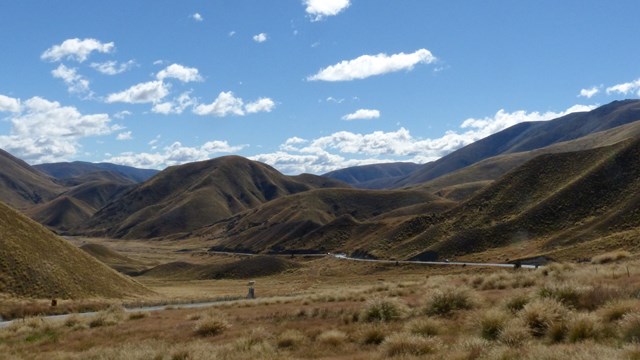NZ/NZ-1025