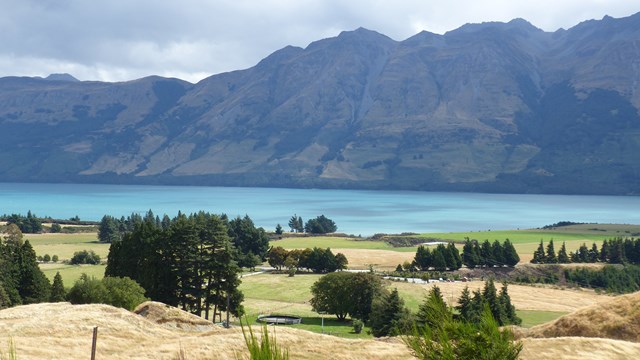 NZ/NZ-1032