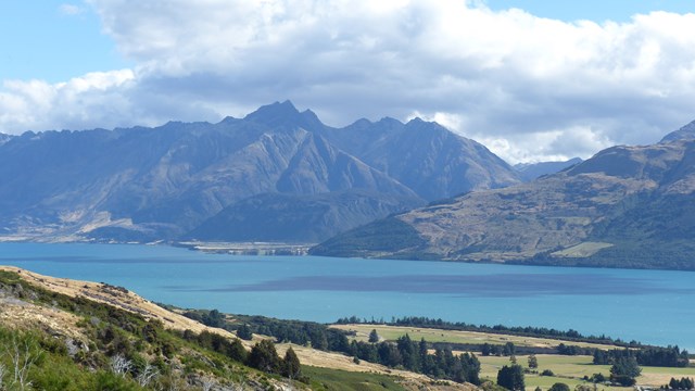 NZ/NZ-1035