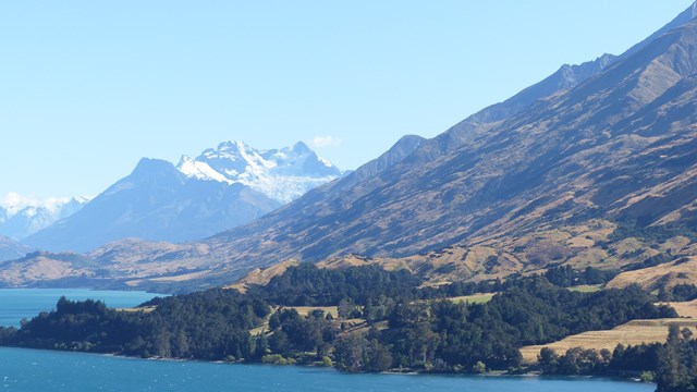 NZ/NZ-1037
