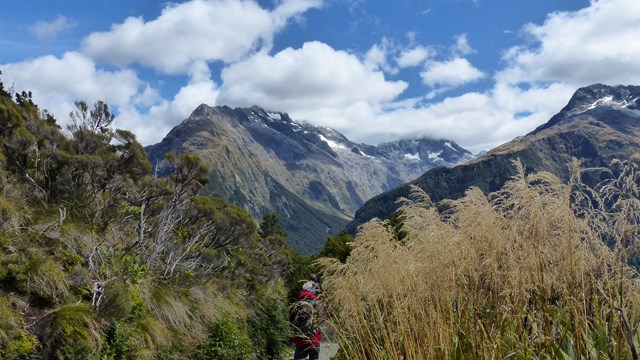 NZ/NZ-1045