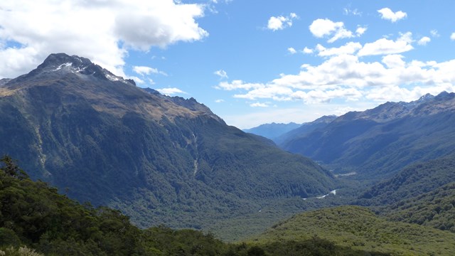 NZ/NZ-1046
