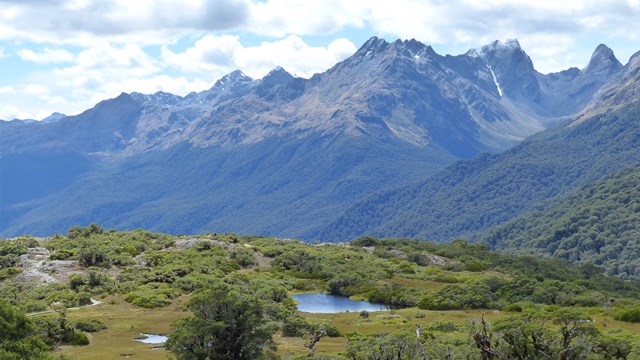 NZ/NZ-1048