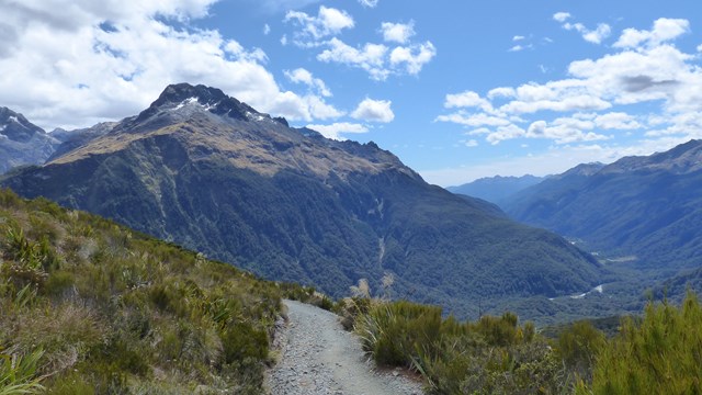 NZ/NZ-1051