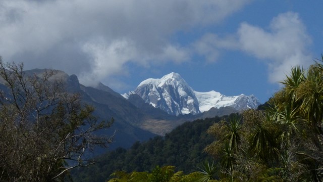 NZ/NZ-1063