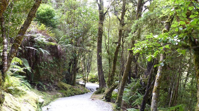 NZ/NZ-1065