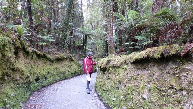 NZ/NZ-1066