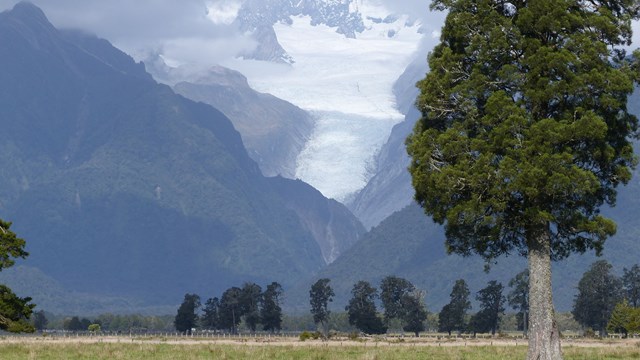 NZ/NZ-1069