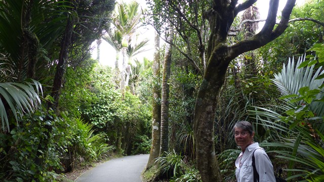 NZ/NZ-1095