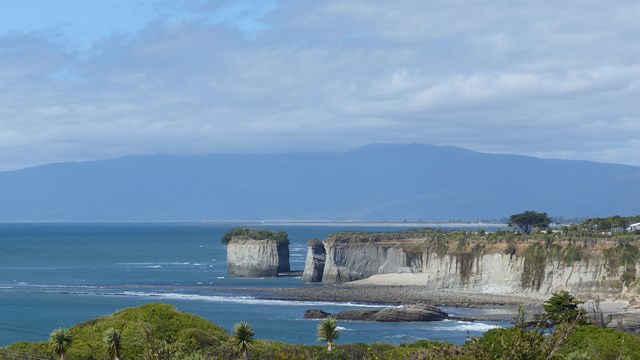 NZ/NZ-1102