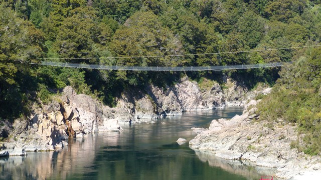 NZ/NZ-1105