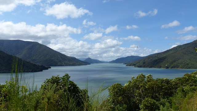 NZ/NZ-1109