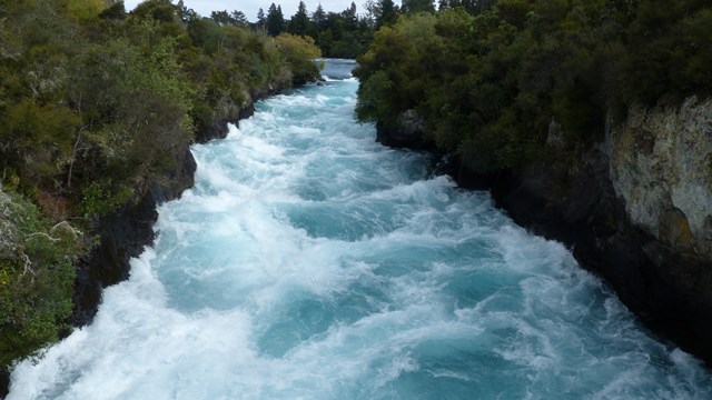 NZ/NZ-1123