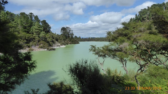 NZ/NZ-1133