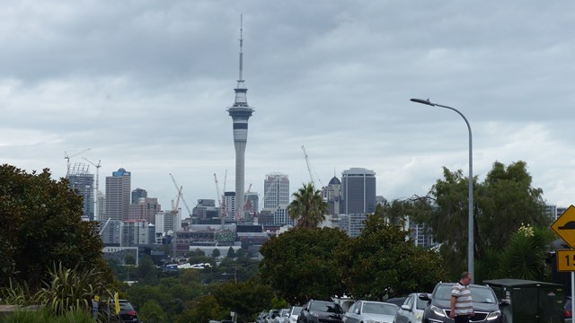 NZ/NZ-1141