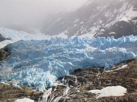 argentine-1029