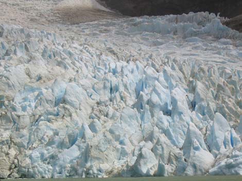 argentine-1032