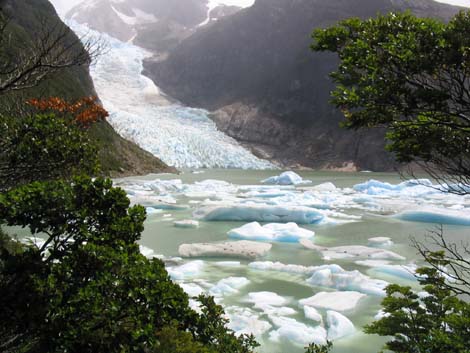 argentine-1033