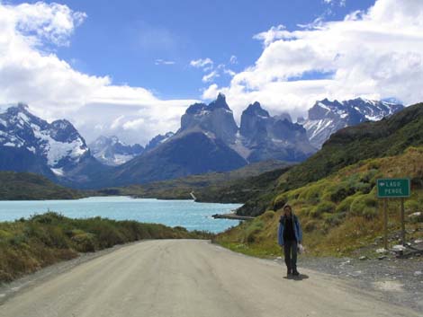 argentine-1036
