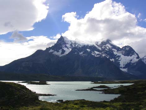 argentine-1039