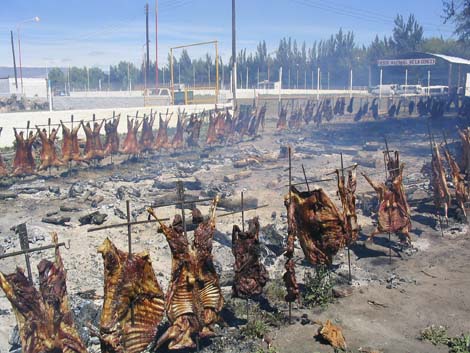 argentine-1000