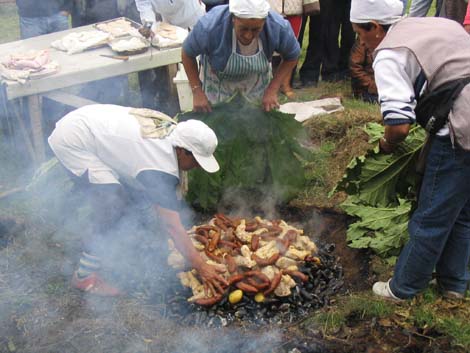 argentine-1000