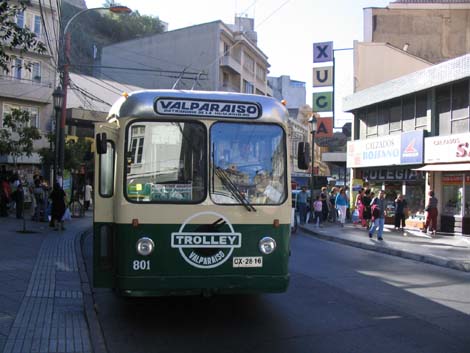 argentine-1000